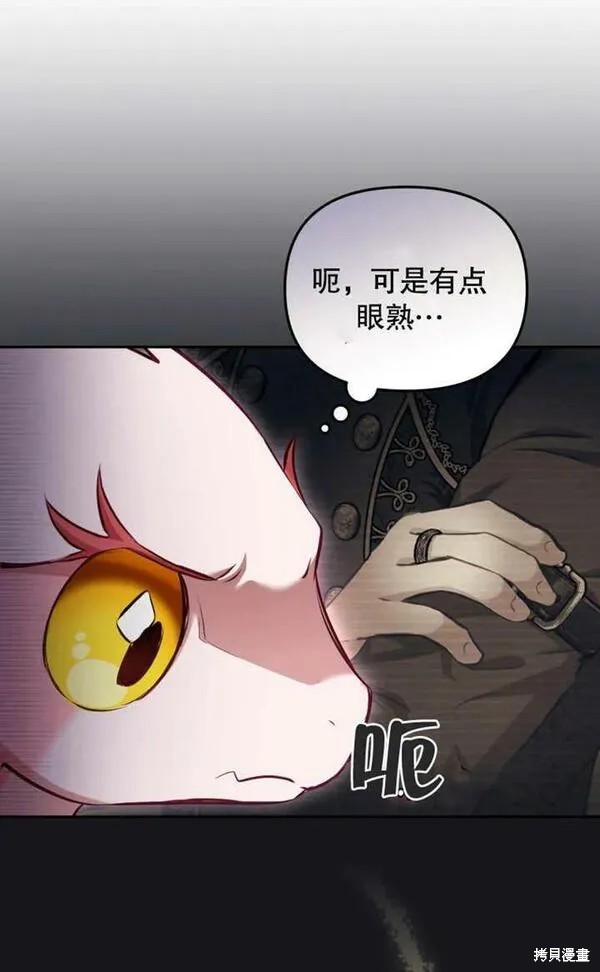 第213页