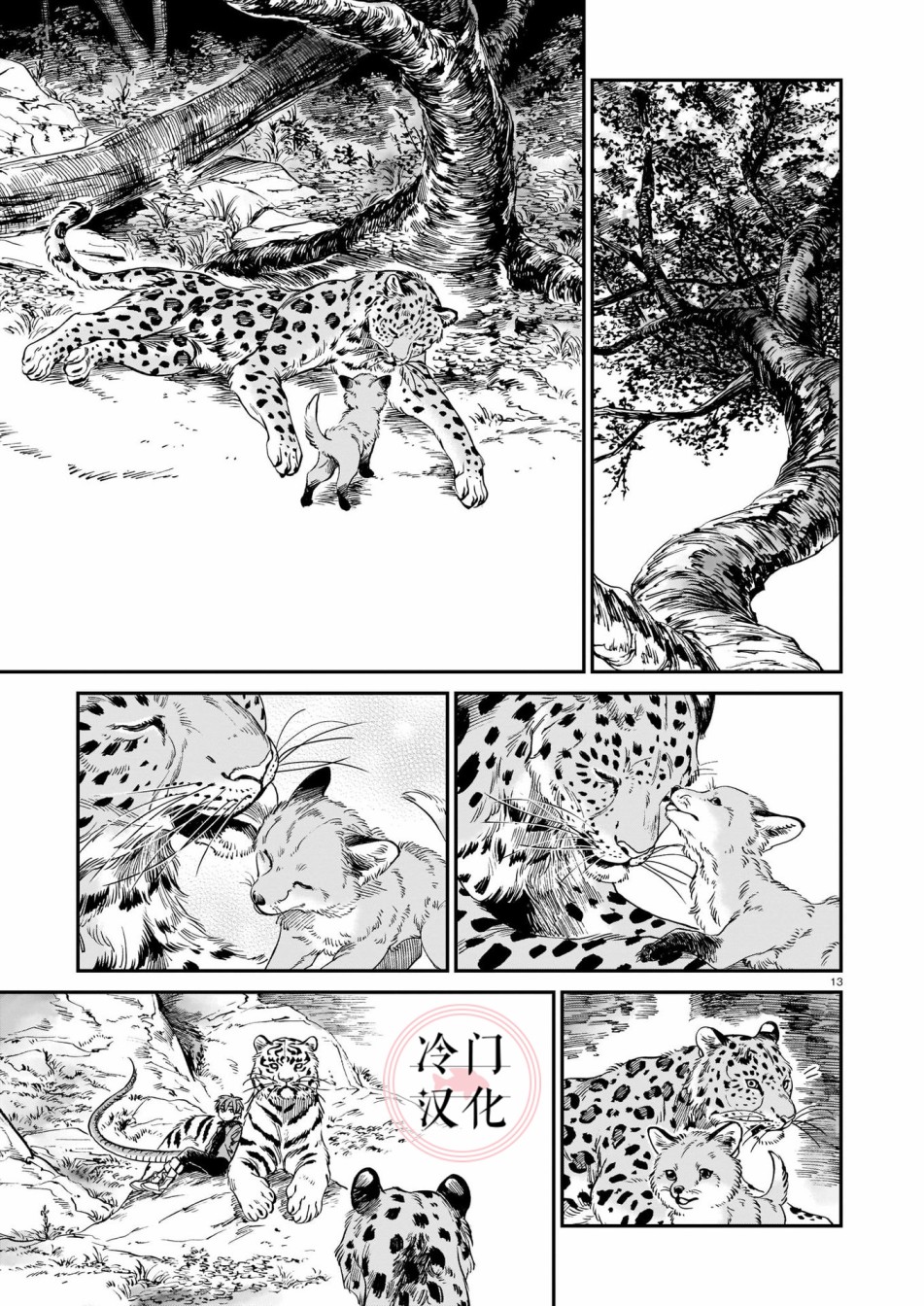第13页