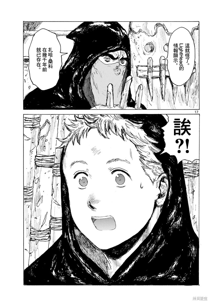 第17页